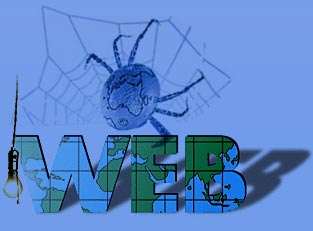 web designer web development graphic designing