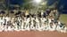 IMG-20160520-WA0009