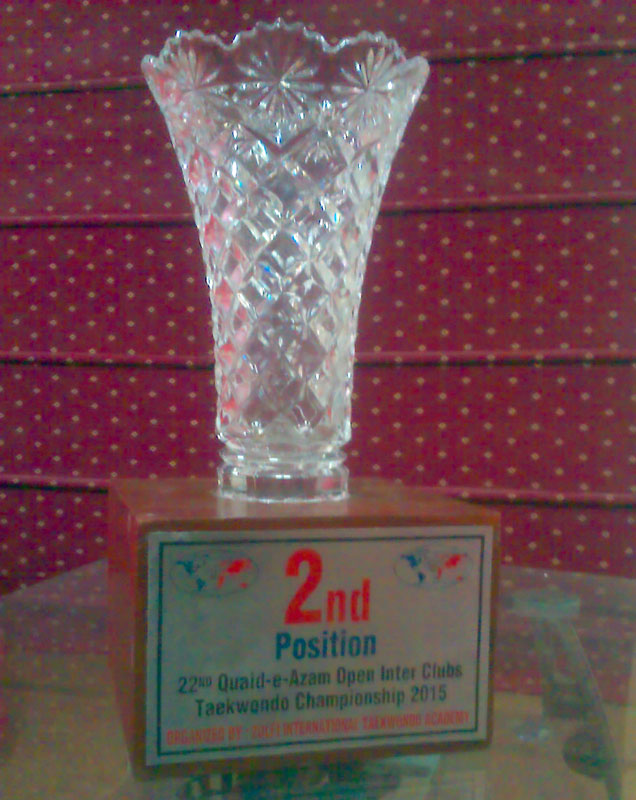 Quaid-e-Azam-open-taekwondo-championship-2015-05