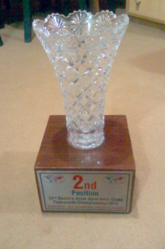 Quaid-e-Azam-open-taekwondo-championship-2015-06