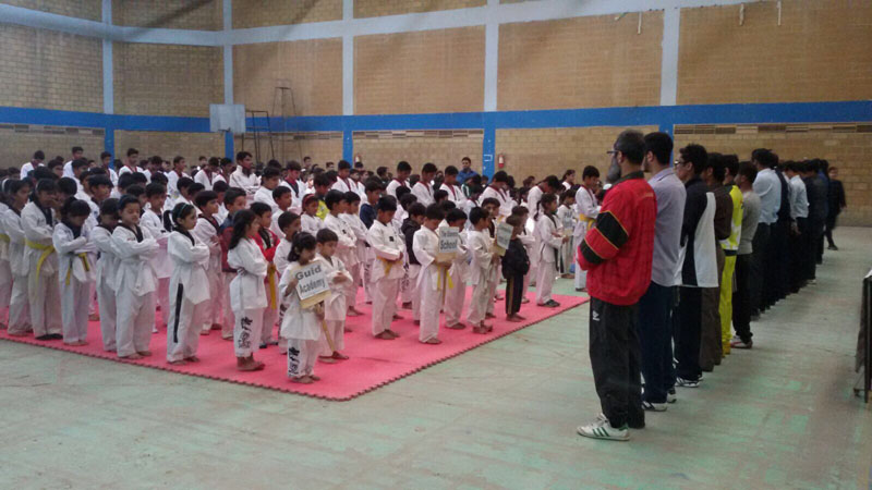 4th-Shaheen-Quaid-e-Azam-taekwondo-championsip-47