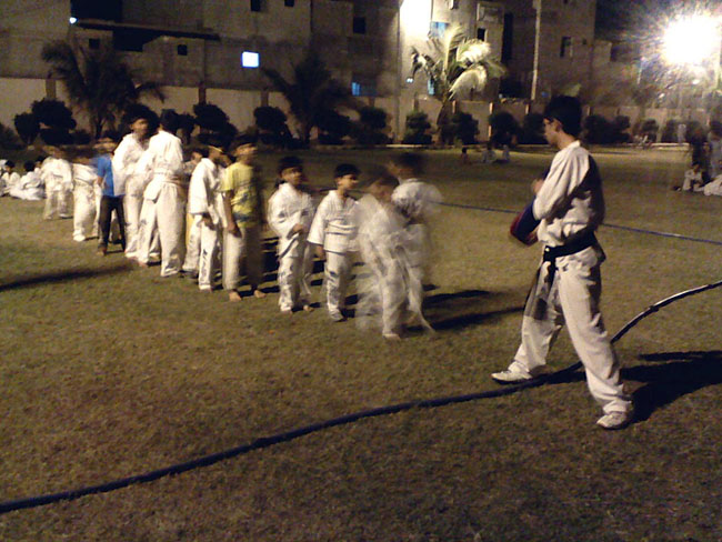 Taekwondo-kicking-1