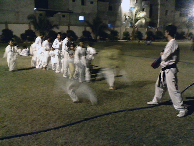 Taekwondo-kicking-2