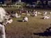 Taekwondo-fitness-training-1